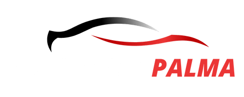 Logo footer Desguaces Palma